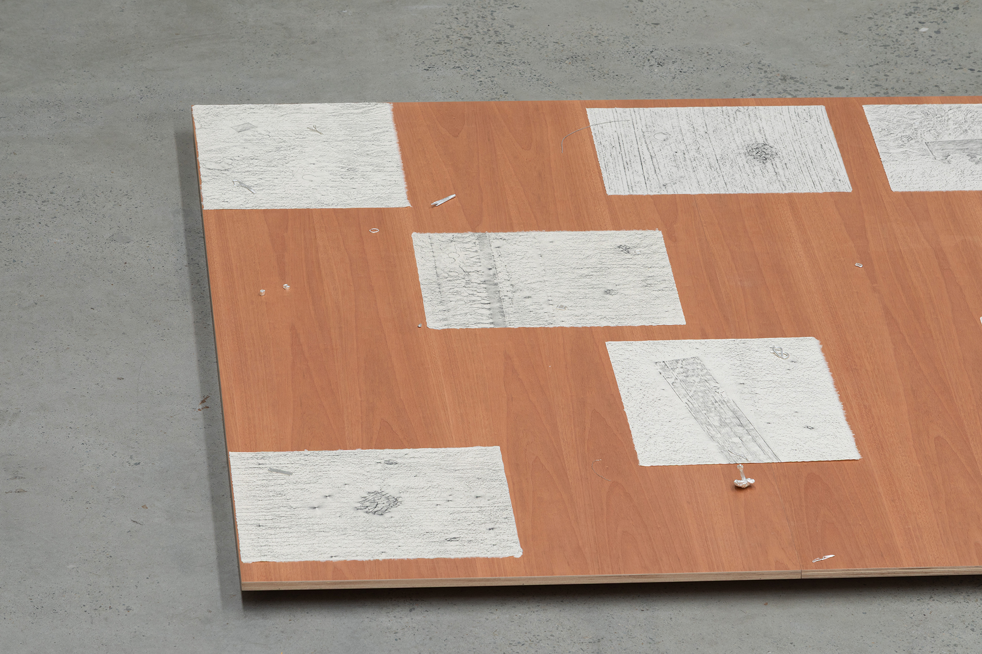 Field recordings, installation view, Anna Kristensen, 2026