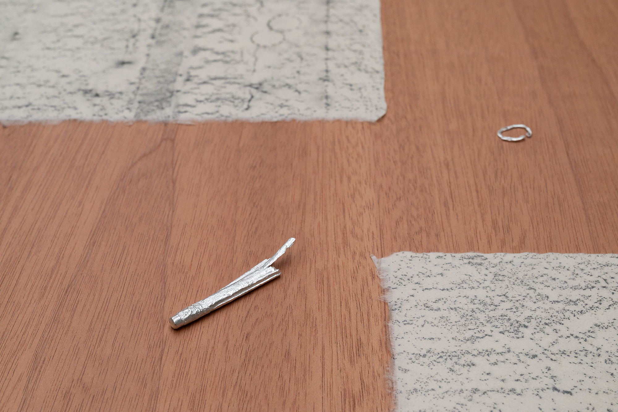 Field recordings, detail, Anna Kristensen, 2026