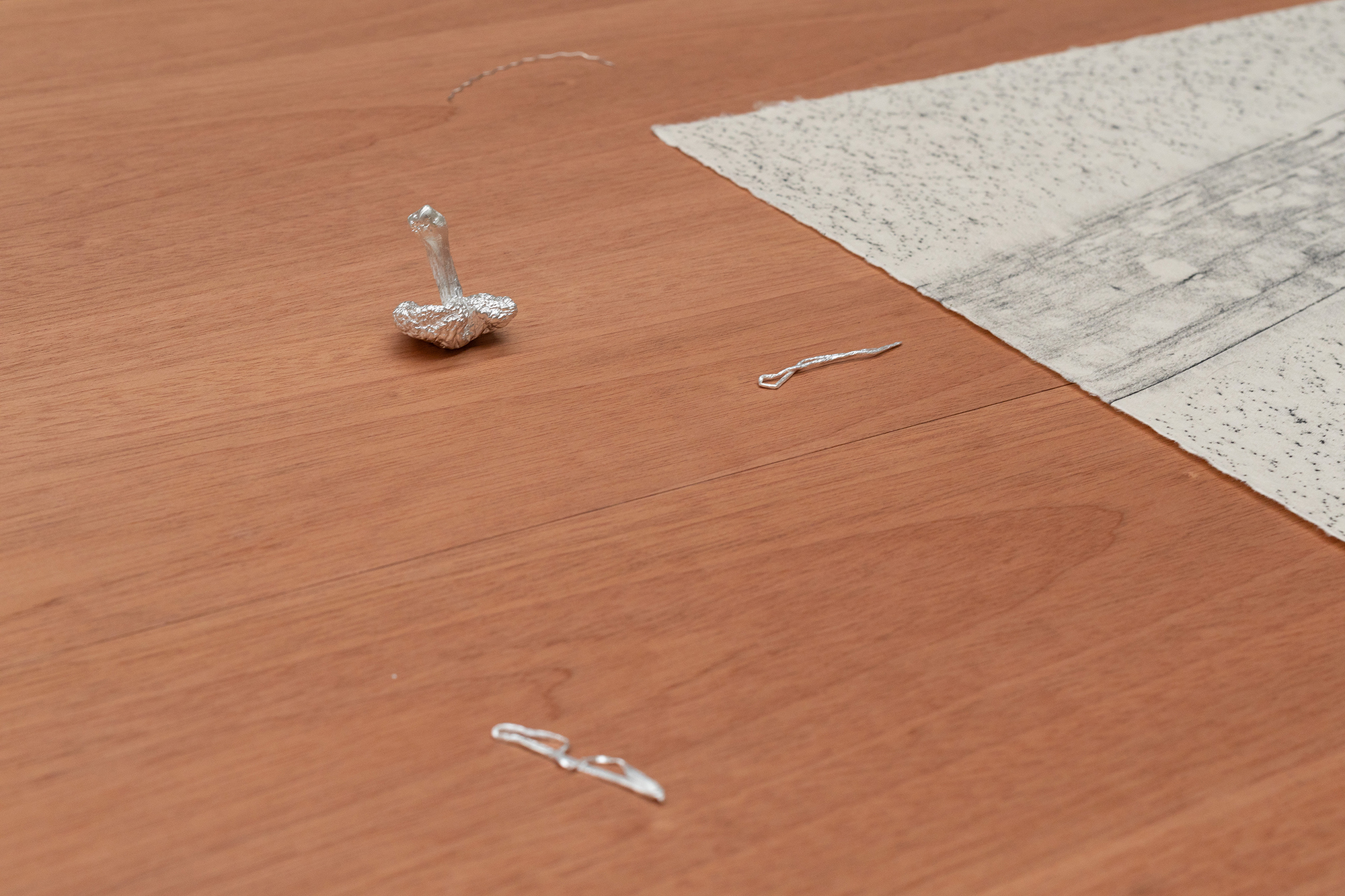 Field recordings, detail, Anna Kristensen, 2026