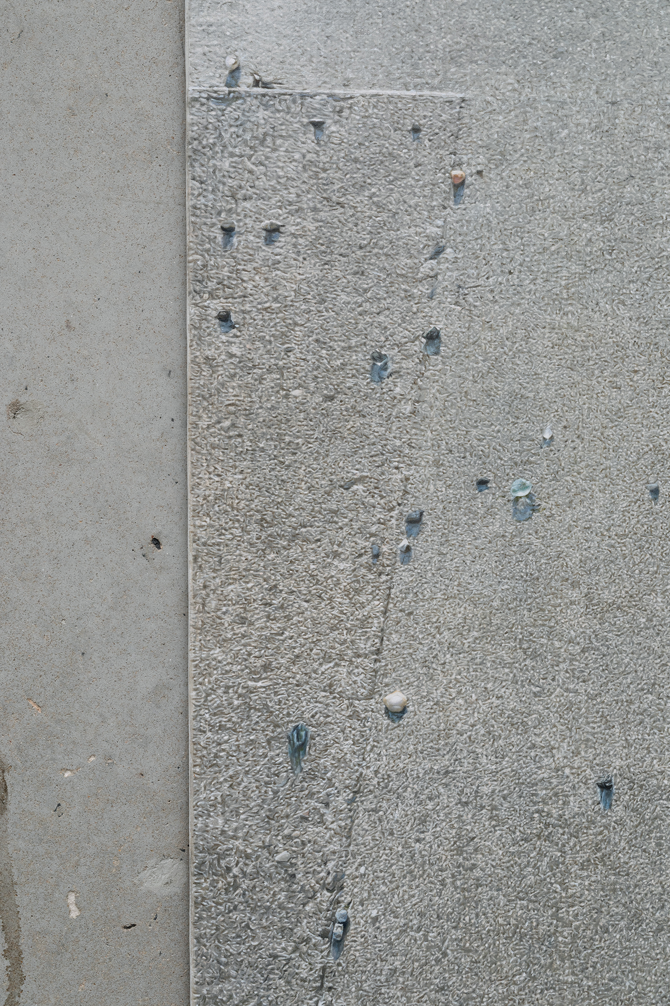 In loving detail (Sidewalk), detail, Anna Kristensen 2025