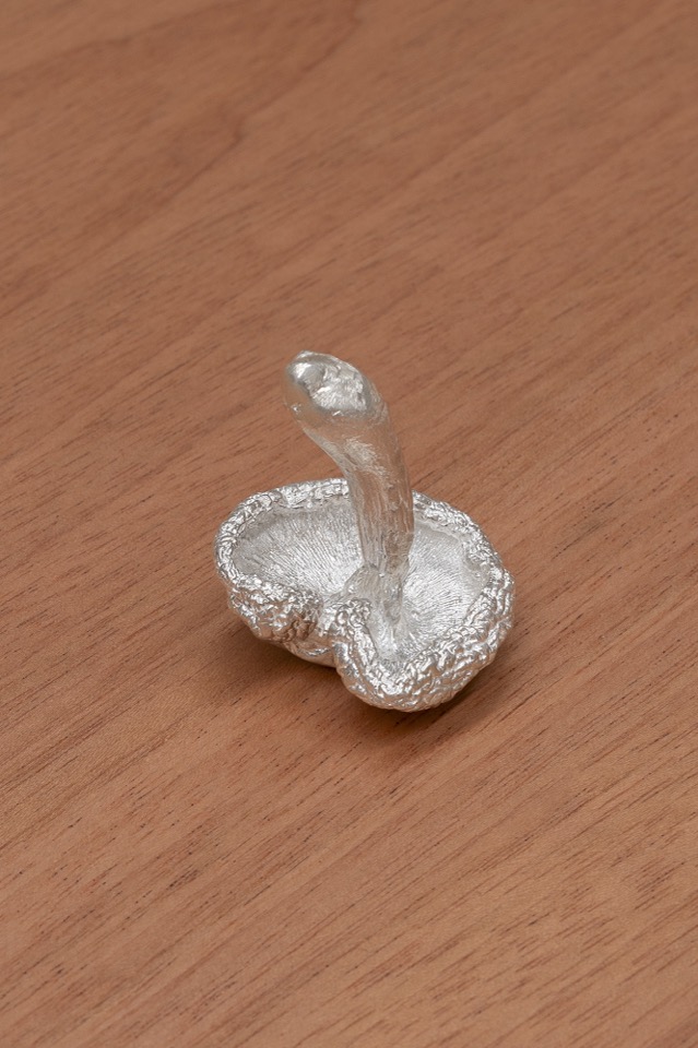 Field recordings, detail, Anna Kristensen, 2026